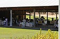 dsc_0272_thm