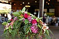 dsc_0325_thm