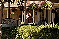 dsc_0379_thm