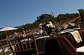 dsc_0479_thm