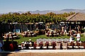 dsc_0492_thm