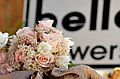dsc_6455_thm