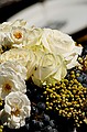 dsc_6599_thm