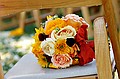 dsc_6618_thm